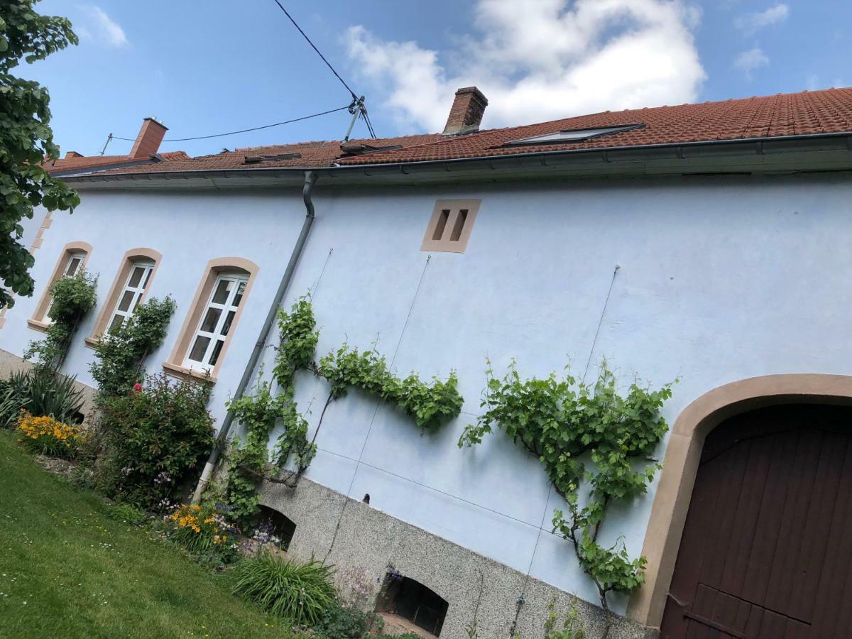 Ferienwohnung Maurer Hasborn-Dautweiler Exterior photo
